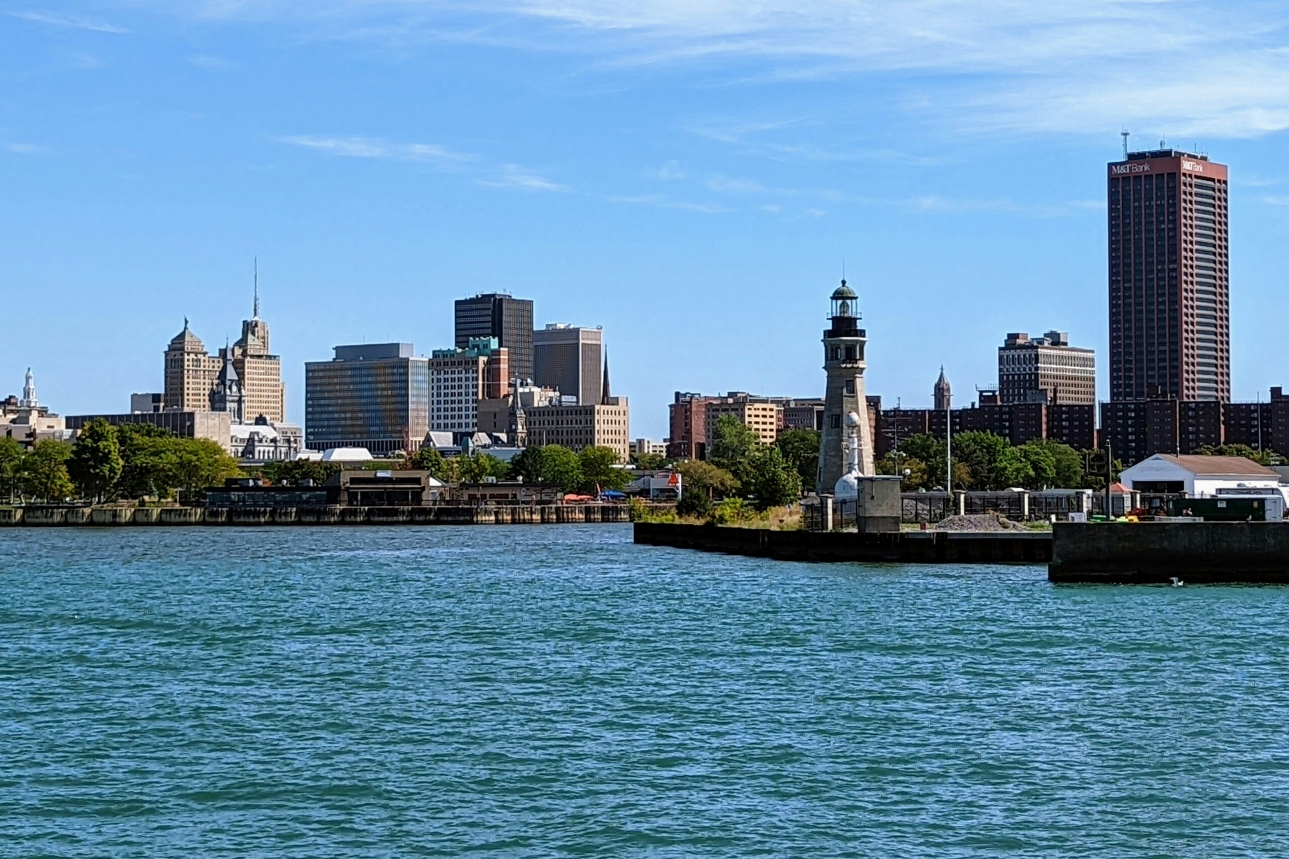 Buffalo skyline over the water